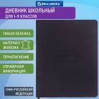Дневники универсальные