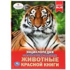 Книги для обучения