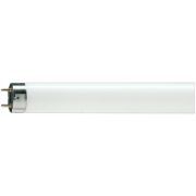 Лампа люминесцентная OSRAM G13 18W/765 (короткая)