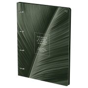 Тетрадь на кольцах А4, 120л., BG «Nature», картон, матовая ламинация