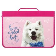 Папка для труда на молнии BRAUBERG А4 с ручкой, 1 отделение, картон, органайзер, «Samoyed», 270989