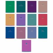 Тетради предметные, КОМПЛЕКТ 13 ПРЕДМЕТОВ, 48 л., матовая ламинация, BRAUBERG «MONOCOLOR», 405175