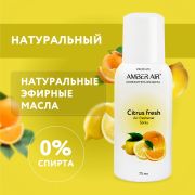 Сменный баллон аэрозольный 75 мл (аналог TORK, Система А1) AMBER AIR «Цитрусовый фреш», 2257