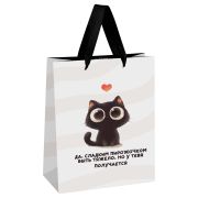 Пакет подарочный 18*23*10см MESHU «Sweet kitten», выборочный лак, матовая ламинация