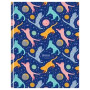 Дневник 1-11 кл. 40л. (твердый) BG «Котомания», матовая ламинация, тиснение фольгой