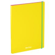 Папка с 30 вкладышами Berlingo «Raze» А4, 17мм, 600мкм, с внутр. карманом, желтая, софт-тач