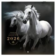 Календарь настенный перекидной 2026 г., BRAUBERG, 12 листов, 28,5х28,5 см, «Символ года», 116928