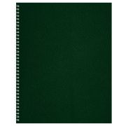 Тетрадь 96л., А4, клетка на гребне BG, бумвинил, зеленый