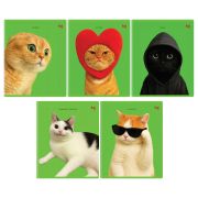 Тетрадь 48л., А5, клетка BG «Во как!», выб. лак