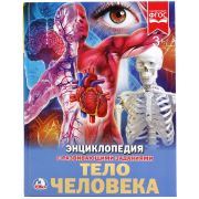 Энциклопедия Умка 197*255, «Тело человека», 48стр.