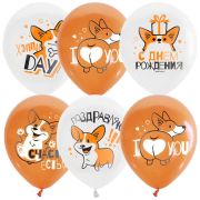 Воздушные шары,  25шт., М12/30см, ПатиБум «White&Orange. Корги. С днем рождения», декоратор, шелк