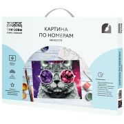 Картина по номерам на холсте ТРИ СОВЫ «Кошачий космос», 30*40, с акриловыми красками и кистями
