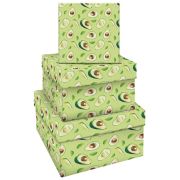 Набор квадратных коробок 3в1, MESHU «Avocado», (19,5*19,5*11-15,5*15,5*9см)