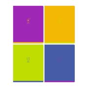 Тетрадь 48л., А5, клетка BG «Monocolor. Chat», неоновая краска