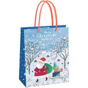 Пакет подарочный 18*23*10см MESHU «Christmas»,  матовая ламинация