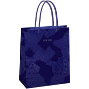 Пакет подарочный 18*23*10см MESHU «Blue pattern», выборочный лак, матовая ламинация
