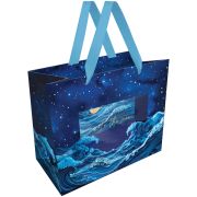 Пакет подарочный 23*18*10см MESHU «Moon sky», фольга,  матовая ламинация