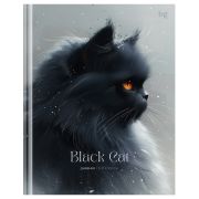 Дневник 5-11 кл. 48л. (твердый) BG «Black cat», матовая ламинация