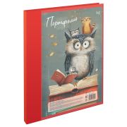 Папка-портфолио пластиковая А4 BG, на 2 кольцах, универсальное, без файлов