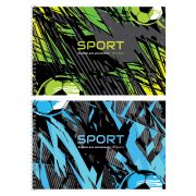 Альбом для рисования 24л., А4, на гребне BG «Sport»