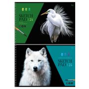 Альбом для рисования 24л., А4, на гребне BG «Белый в природе»