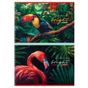 Альбом для рисования 32л., А4, на гребне BG «Яркие»