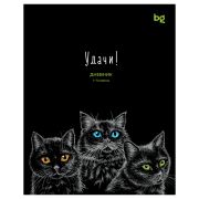 Дневник 1-11 кл. 40л. на скобе BG «Удачи!»